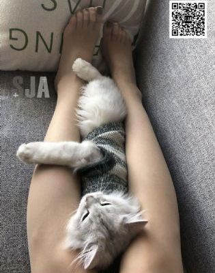 雪中悍刀行第二部大牛影库_BD韩语全集免费播放