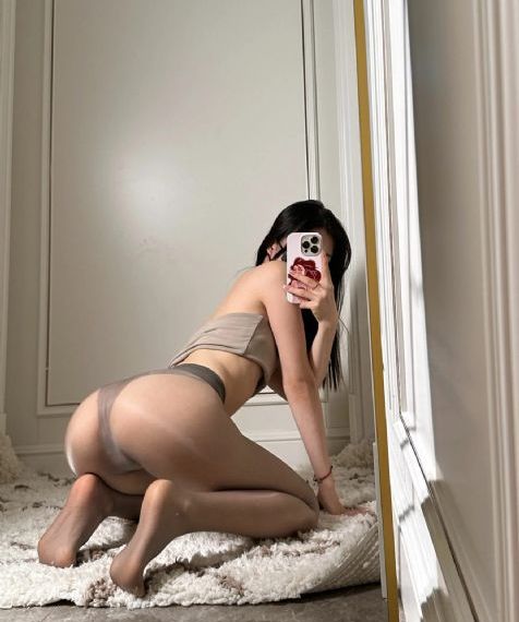 嘉庆王朝56集免费观看电视剧_HD电视剧在线观看
