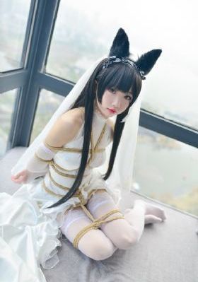 魔法战士_DVD在线观看高清