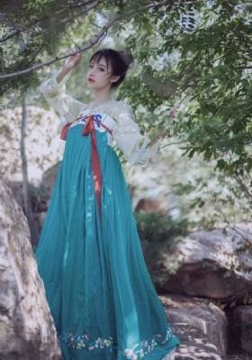 狼殿下电视剧全集免费观看完整版_BD免费观看