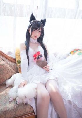 樱花在线观看视频_HD免费在线播放